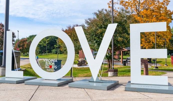 Virginia is for Lovers LOVE आर्ट